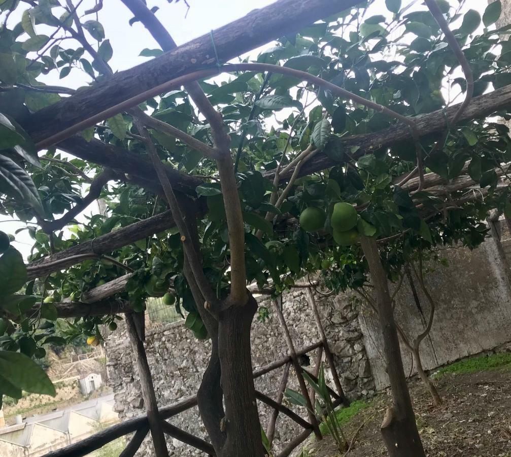 Le Due Porte Maiori Exterior foto
