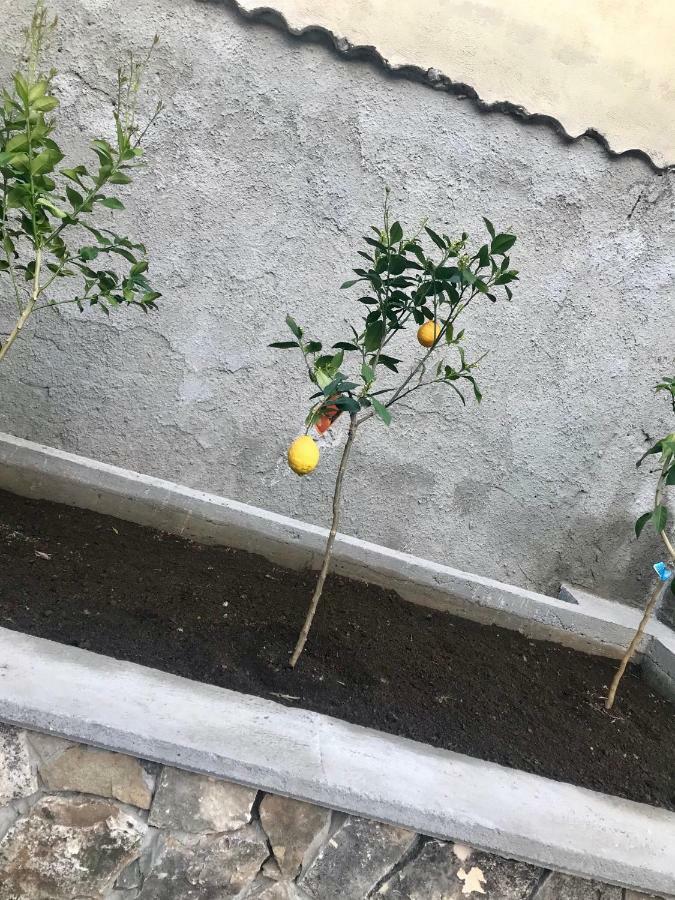 Le Due Porte Maiori Exterior foto